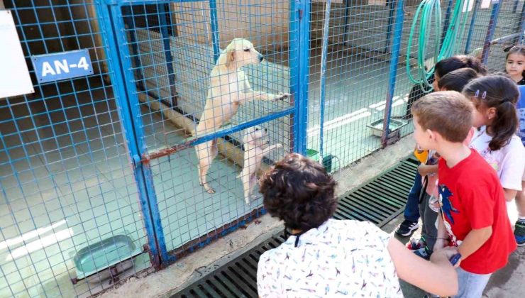 Bodrum’da 186 öğrenci patili dostlarıyla vakit geçirdi