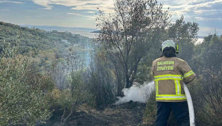 Erdek’te yangın: 10 dönümlük zeytinlik kül oldu