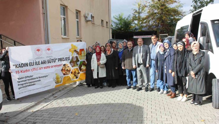 Erzincan 15 arı sütü üreticisini Ordu’ya gönderdi