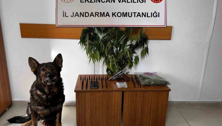 Erzincan’da jandarma suç olaylarına geçit vermiyor