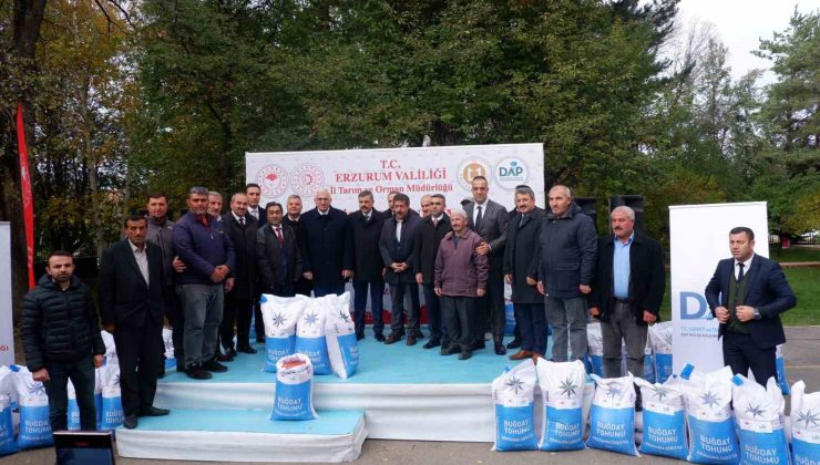 Erzurum’da DAP desteğiyle 935 ton buğday tohumu dağıtıldı