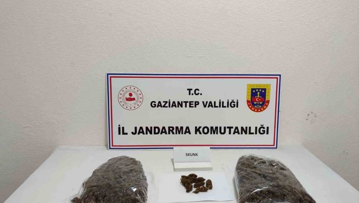 Gaziantep’te 5 kilo skunk ele geçirildi: 1 şahıs tutuklandı