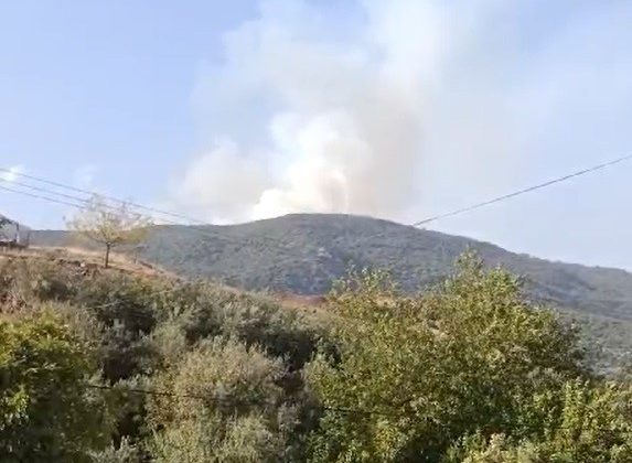 Gaziantep’te orman yangını