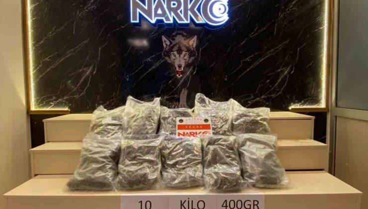 Gişelerde durdurulan tırda 10 kilo 400 gram skunk ele geçirildi