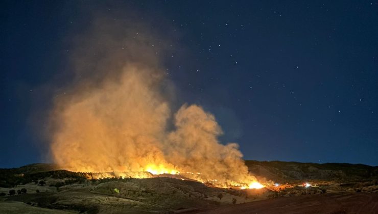 Gölbaşı’nda ormanlık alanda çıkan yangın korkuttu