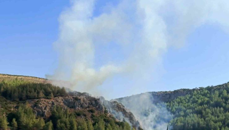 Hatay’da orman yangını