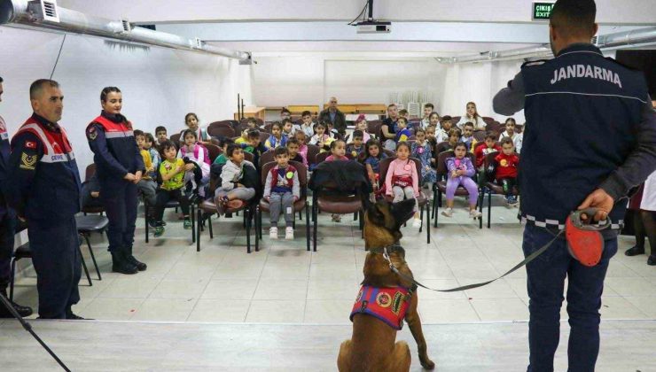 Jandarma ekipleri hayvanları koruma günüyle ilgili etkinlik gerçekleştirdi