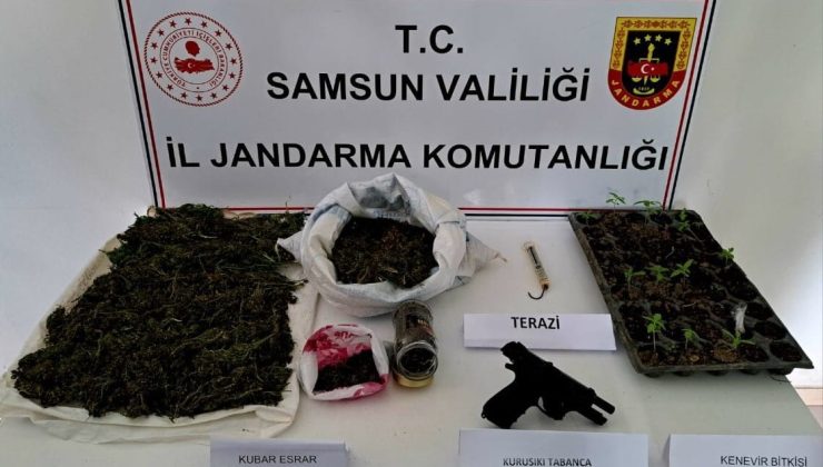 Jandarmadan uyuşturucu operasyonu: 1 kilo 471 gram skunk ele geçirildi