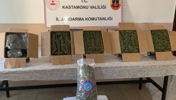 Kastamonu’da esrar ele geçirildi: 1 tutuklama