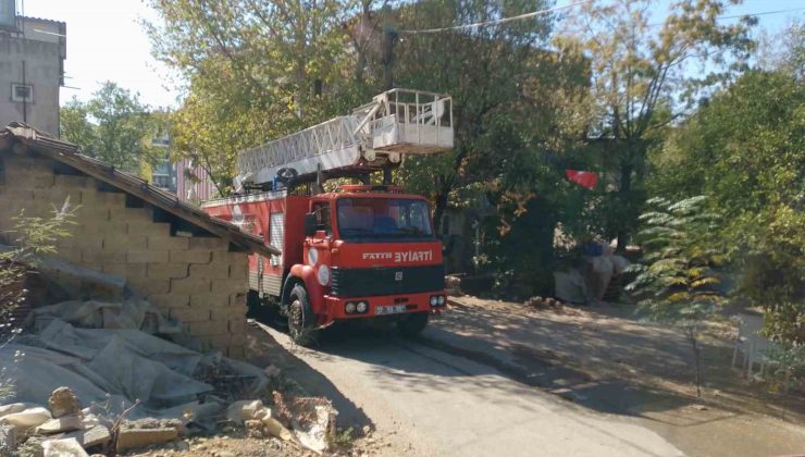 Kümeste bulunan güvercinler yanmaktan son anda kurtuldu