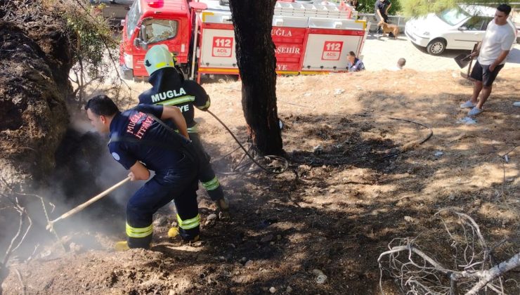 Menteşe’de çıkan ot yangını kontrol altına alındı