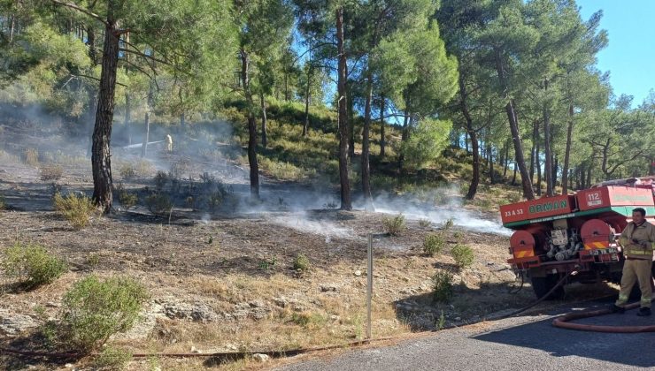 Mersin’de vadide çıkan orman yangını, büyümeden söndürüldü