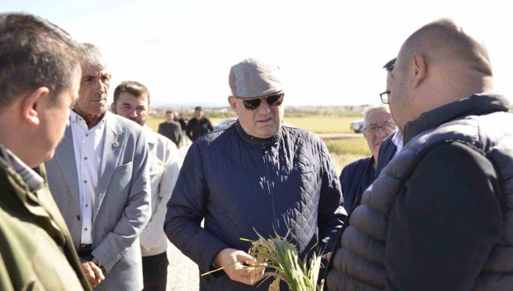 Milletvekili Gider, Biga’da zarar gören tarım arazilerini inceledi