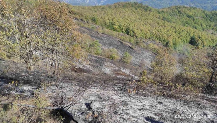 Örtü yangını ormana sıçramadan söndürüldü