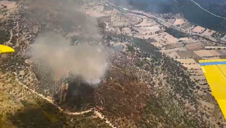 Seydikemer’de orman yangını