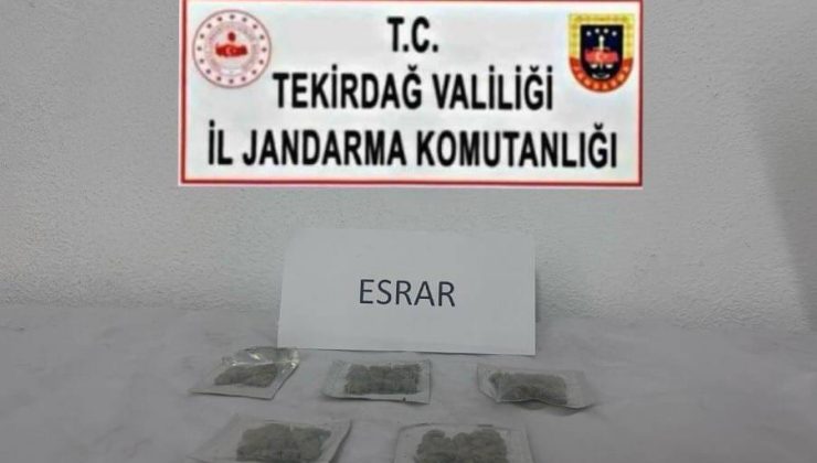 Tekirdağ’da uyuşturucu ve silah operasyonları: Çok sayıda suç unsuru ele geçirildi