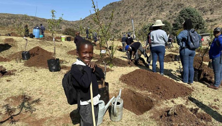 TİKA’dan kuruluşunun 200. yılında Lesotho Krallığı’na 2000 fidan