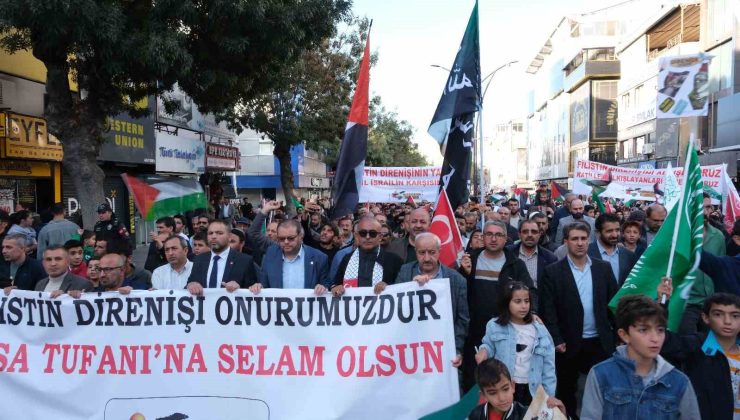 Van’da Filistin’e destek yürüyüşü