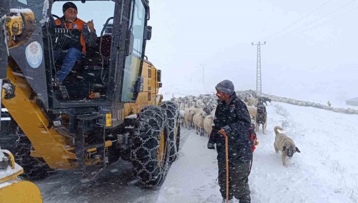 Yaylada sürüsü ile kara yakalanan çobanın imdadına Büyükşehir ekipleri yetişti