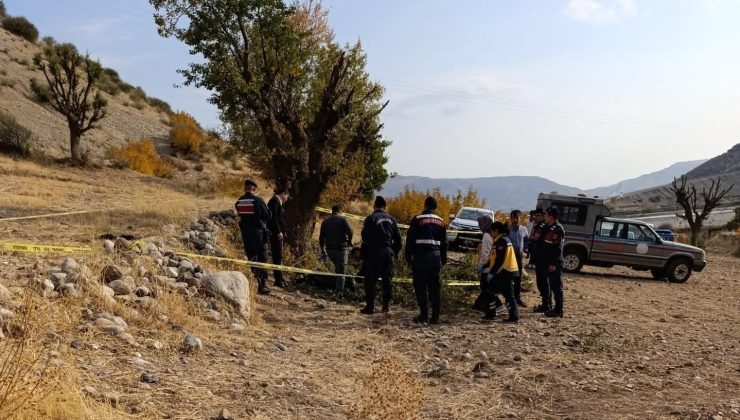 Ağaç budarken düşen yaşlı adam hayatını kaybetti