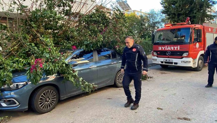 Antalya’da fırtınaya dayanamayan ağaç park halindeki aracın üzerine devrildi