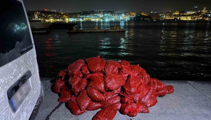 Beyoğlu’nda 3 ton kaçak midye ele geçirildi