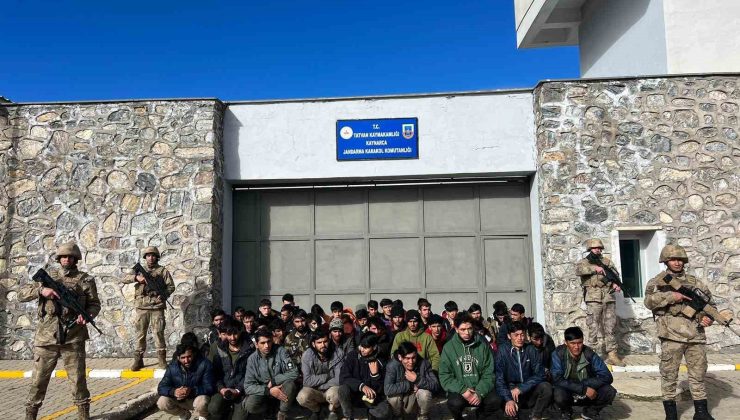 Bitlis’te göçmen kaçakçılığı operasyonları