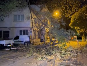 Bursa’da şiddetli rüzgar ağacı devirdi, yol kapandı