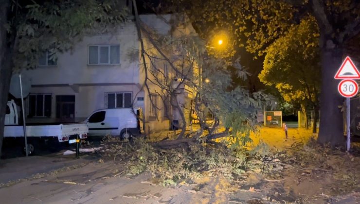 Bursa’da şiddetli rüzgar ağacı devirdi, yol kapandı