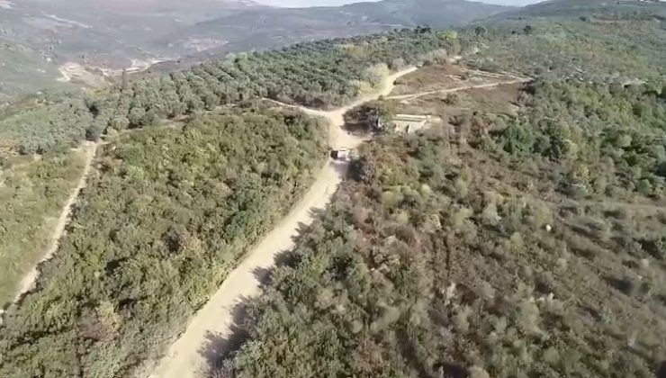 Bursa’da zeytin hırsızlarına dronlu denetim