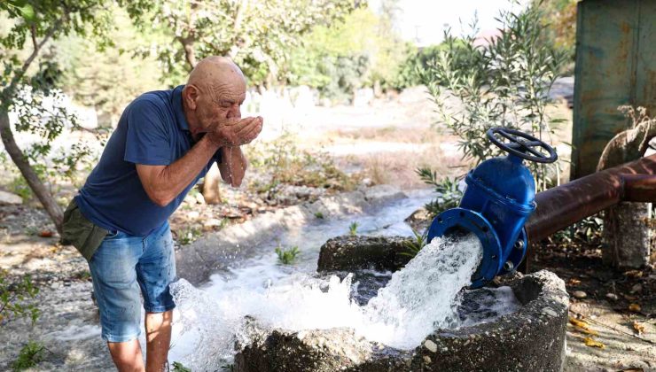 Büyükşehir’den Demreli üreticilere destek