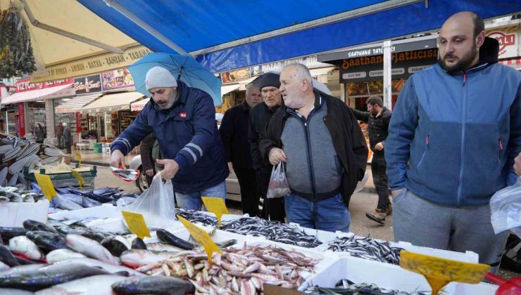 Hamsinin kulağına kar suyu kaçtı