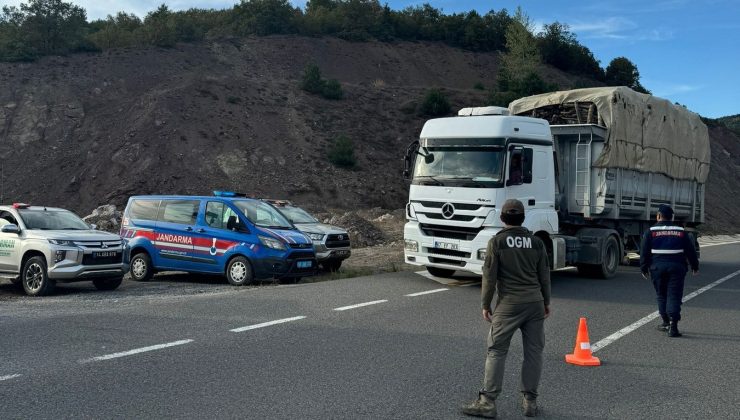 Kaçak orman emvali ile ilgili denetimler sürüyor