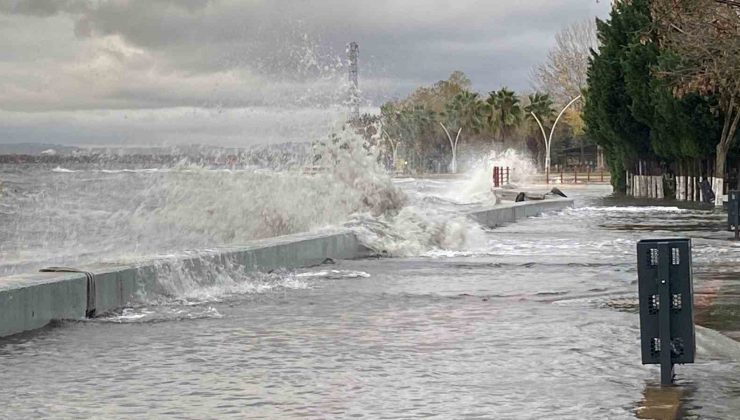 Kocaeli’de deniz taşarken 2 tekne battı, ağaçlar ise yerlerinden söküldü