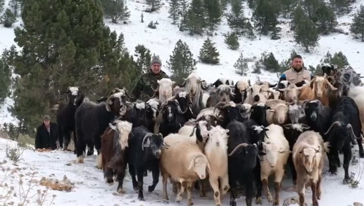 Konya’da yaylada yoğun kardan mahsur kalan besiciler yol açılarak kurtarıldı