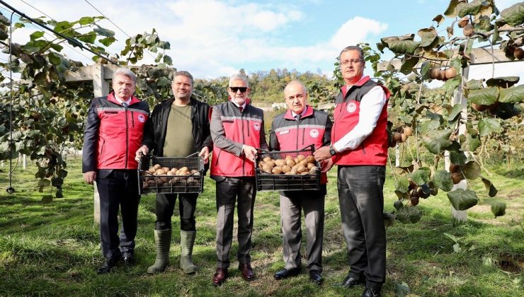 Ordu kivisi, ilin ekonomisine yaklaşık 300 milyon TL katkı sağlayacak