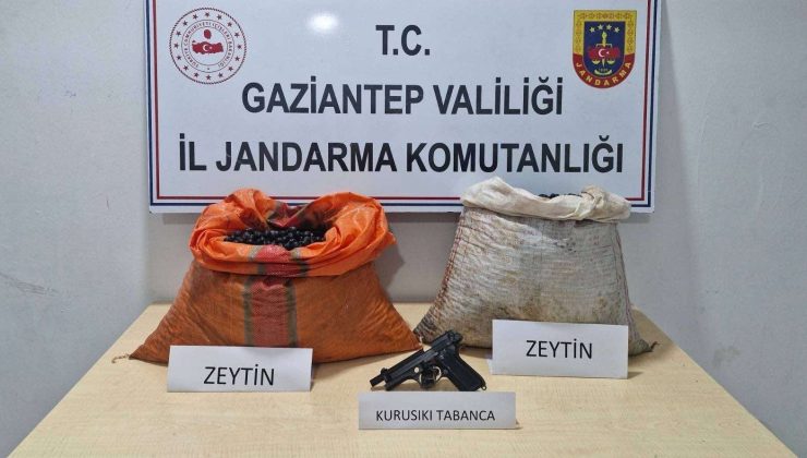 Suçüstü yakalanan zeytin hırsızlığı şüphelisi tutuklandı