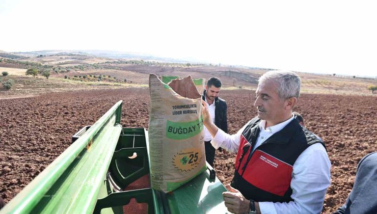 Tahmazoğlu dağıttığı tohumları çiftçilerle ekti