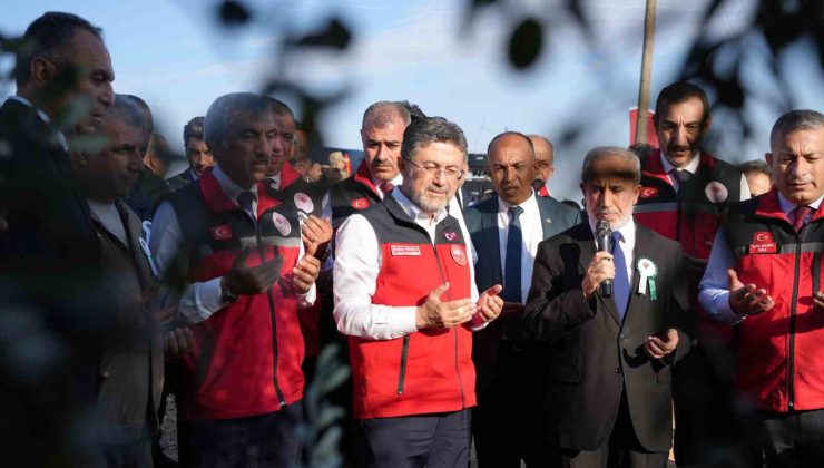 Tarım ve Orman Bakanı Yumaklı Kilis’te zeytin hasadına katıldı