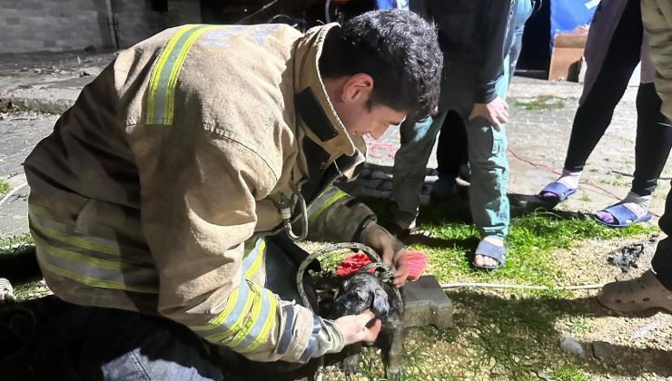 17 metre derinliğindeki kuyuya düşen köpeği itfaiye kurtardı