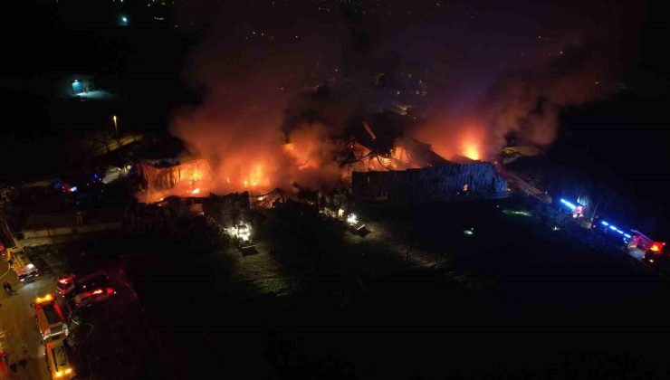 Bursa’da gıda deposundaki yangın geceyi aydınlattı