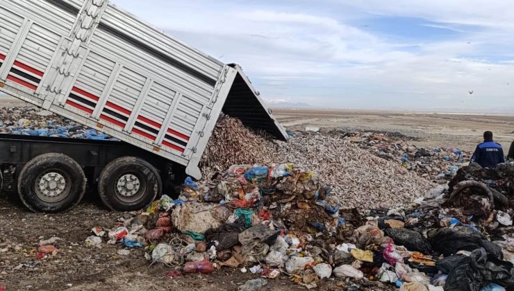 Konya’da tır dolusu kokmuş balık yakalandı