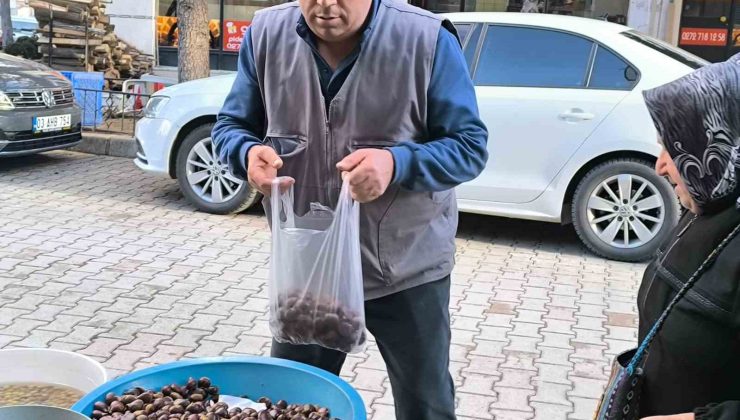 (ÖZEL) Kilosu 200 lirayı bulan kestane yine kış mevsiminin vazgeçilmezleri arasında