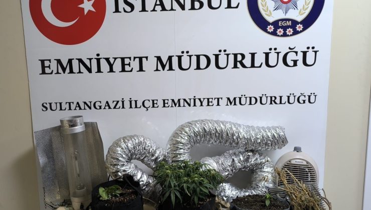 Sultangazi’de uyuşturucu operasyonu: 1 gözaltı