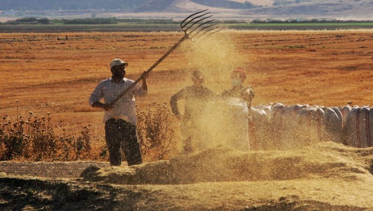 Tarımsal girdi fiyat endeksi yıllık yüzde 32,59 arttı