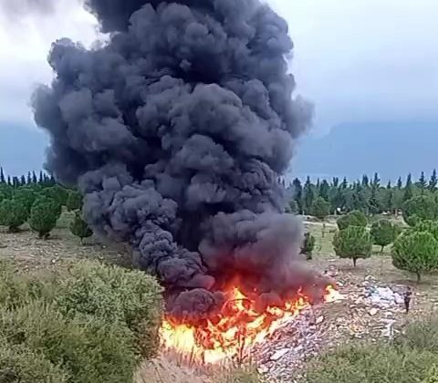 Tutuşturulan kaçak atıklar az daha ormanı yakıyordu