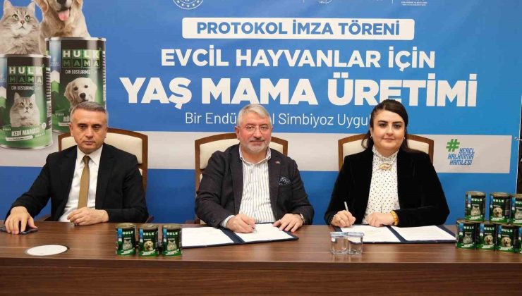 Yaş mama sektöründe ithalatı ortadan kaldıracak proje: Dünyanın merkezi global pazarda yerini alacak