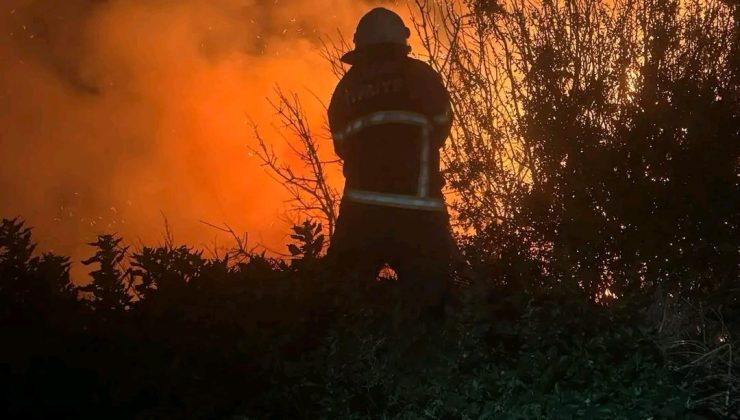 Arsuz’da kamışlık alanda çıkan yangın söndürüldü