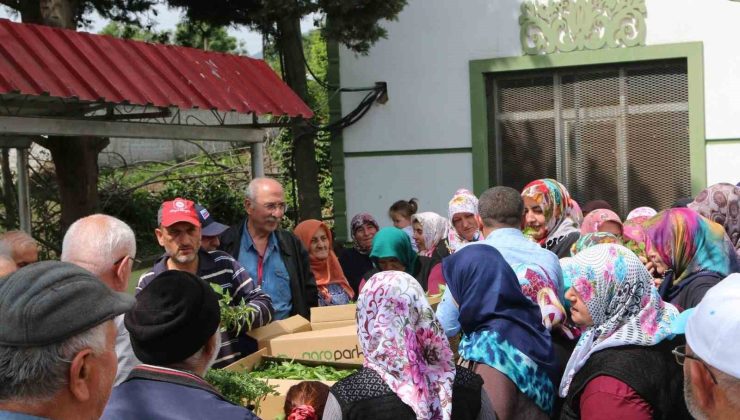 Atakum’da çiftçiye 30 bin sebze fidesi ve tohum desteği