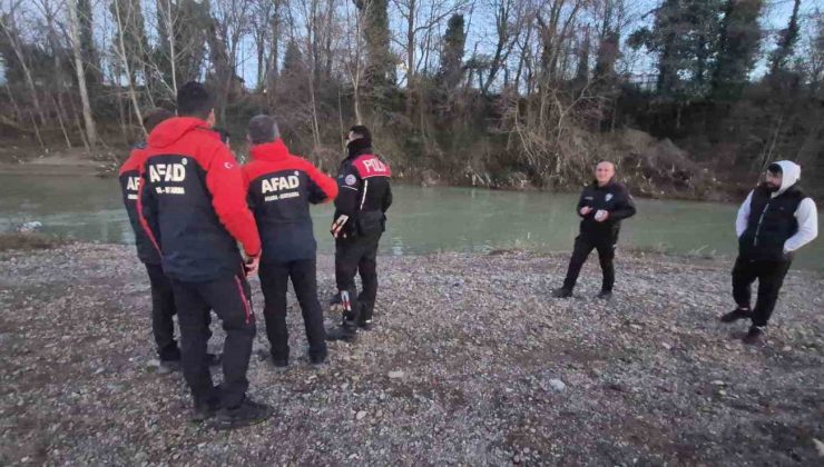 Balık peşindeki yunus ırmakta mahsur kaldı